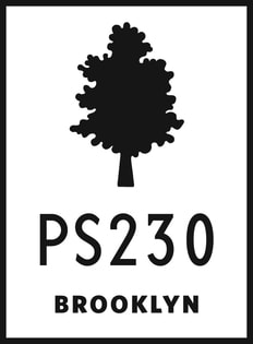 P.S. 230 TECHNOLOGY